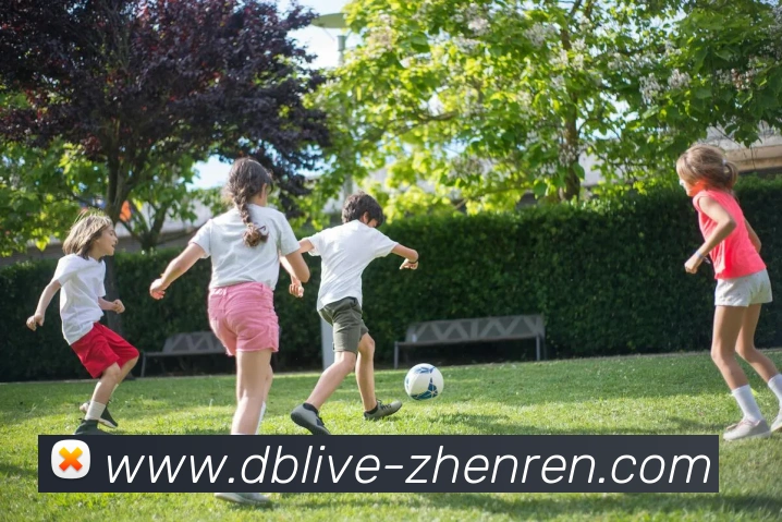 DB真人发展历程