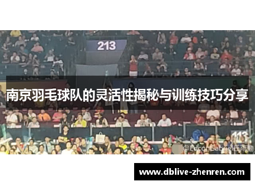 南京羽毛球队的灵活性揭秘与训练技巧分享