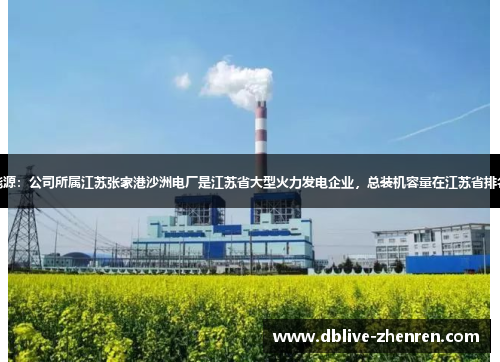 永泰能源：公司所属江苏张家港沙洲电厂是江苏省大型火力发电企业，总装机容量在江苏省排名第七